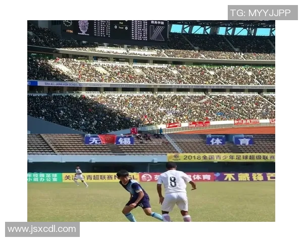 足球没有气的背后真相与我们对运动的理解与期待